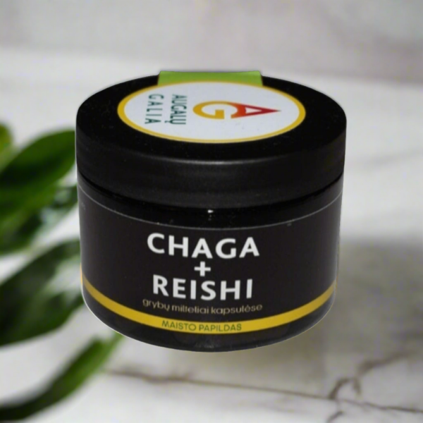 ČAGA Beržo grybas. + REISHI 27gr Įžulnusis skylenis +Tikrinis blizgutis.